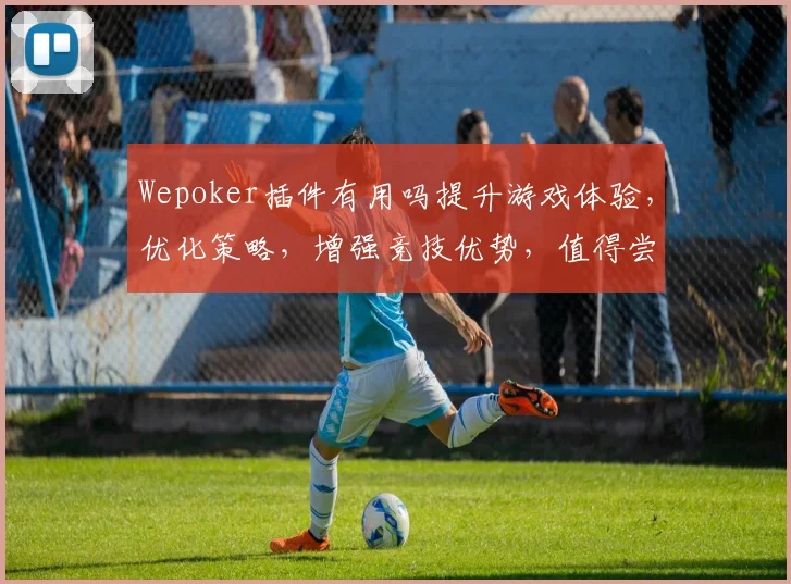 Wepoker插件有用吗提升游戏体验，优化策略，增强竞技优势，值得尝试